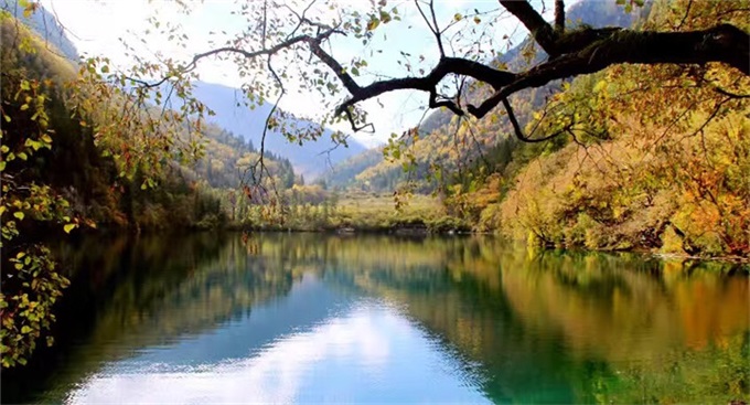 mg不朽情缘(中国)官方网站